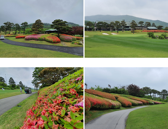 출처: allthatgolf.kr