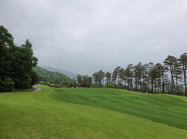 출처: allthatgolf.kr