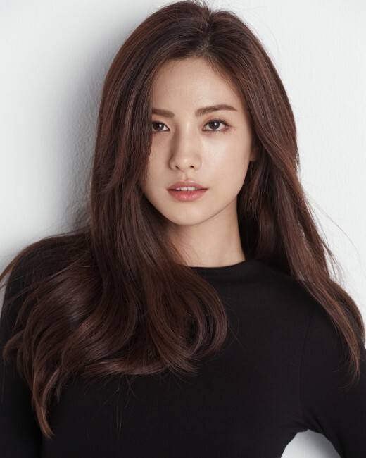 출처: 플레디스