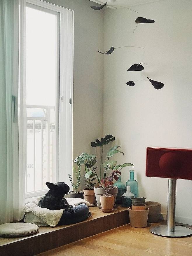 출처: <모빌> 등 제품정보 모아보기(▲이미지클릭)