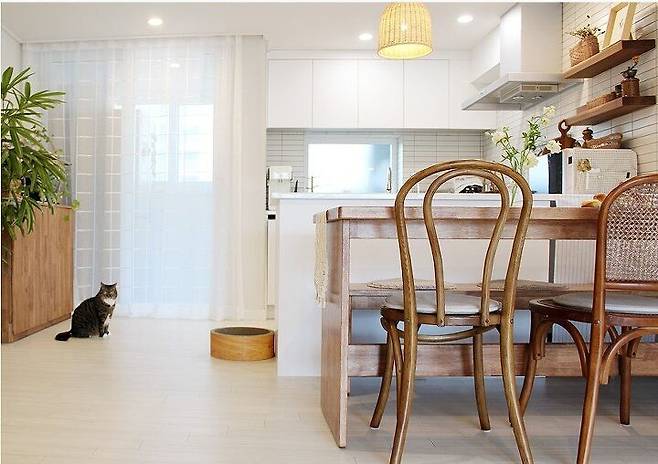 출처: 오늘의집 제품정보 모아보기(▲이미지클릭)