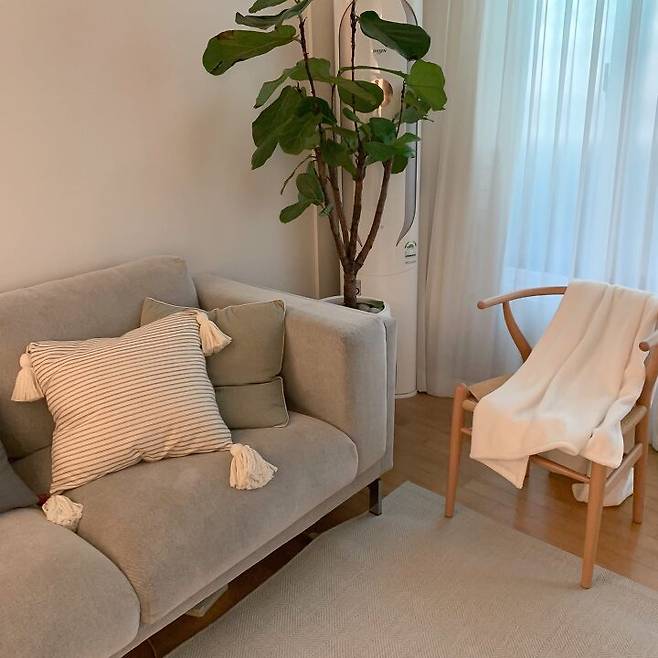 출처: <태슬쿠션><러그> 등 제품정보 모아보기(▲이미지클릭)