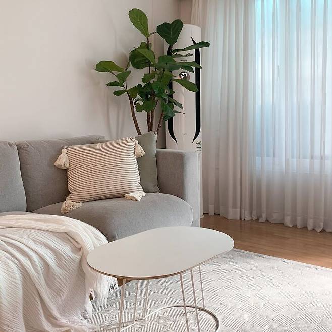 출처: <거실테이블><블랭킷><커튼> 등 제품정보 모아보기(▲이미지클릭)