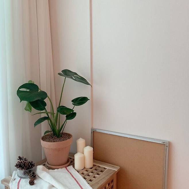 출처: 오늘의집 제품정보 모아보기(▲이미지클릭)