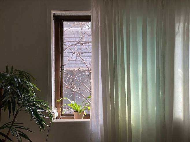 출처: 오늘의집 제품정보 모아보기(▲이미지클릭)