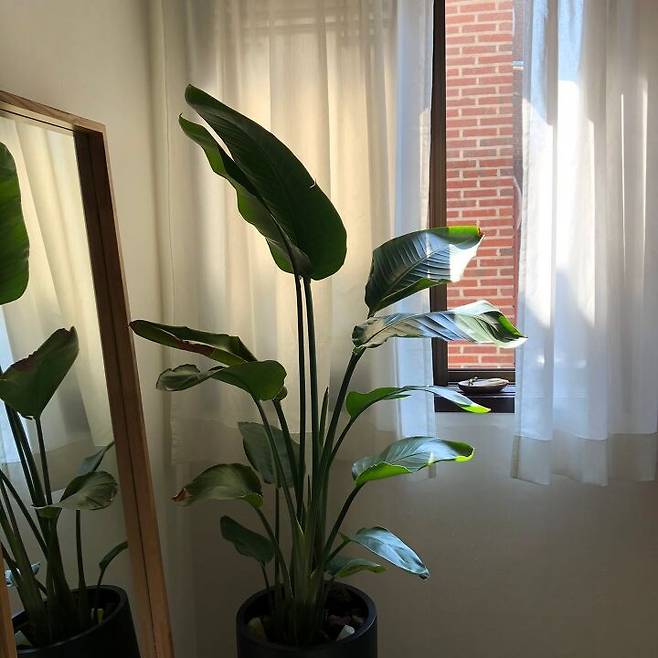 출처: 오늘의집 제품정보 모아보기(▲이미지클릭)