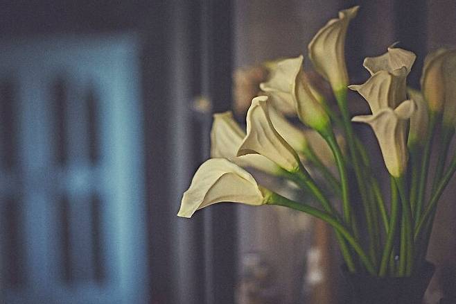 출처: 오늘의집 온라인 집들이 보러가기 (▲ 이미지 클릭)