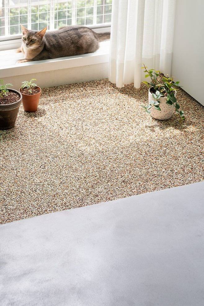 출처: <화분> 제품 정보 보러가기 (▲이미지 클릭)