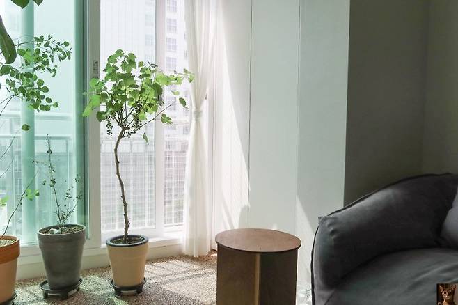 출처: 집들이 속 제품 정보 보러가기 (▲ 이미지 클릭)