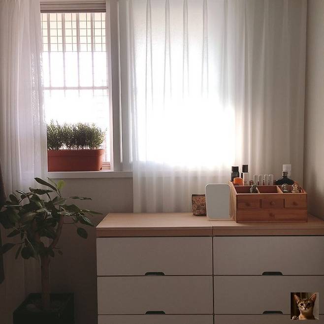 출처: 사진 속 제품 정보 보러가기 (▲이미지 클릭)