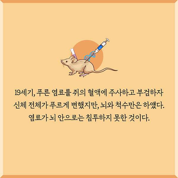 출처: 책식주의
