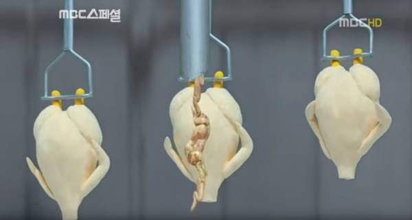 출처: mbc 스페셜 갈무리