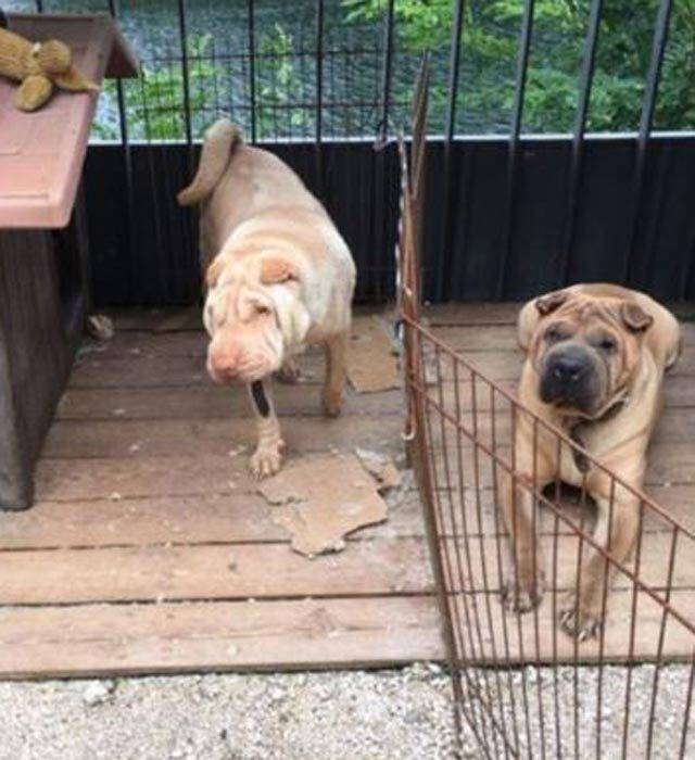 출처: 온라인커뮤니티