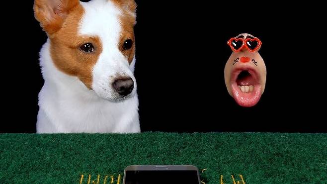 출처: 주멍이 유튜브 채널