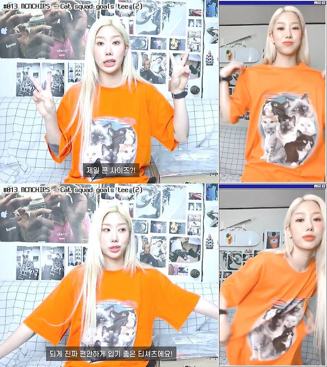 출처: 송필드 유튜브 채널