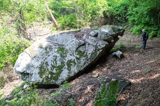 구학산에 길을 내다가 발견했다는 거북바우. 산 정상 쪽을 바라보고 있다.