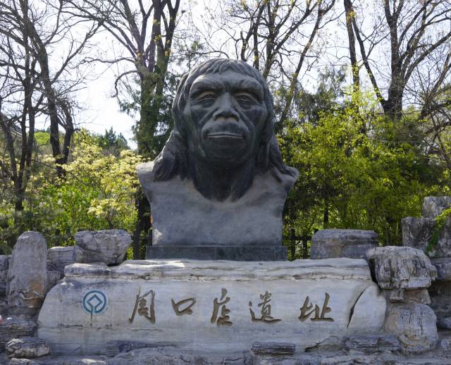 저우커우뎬유적지 입구에 복원된 '베이징 원인'의 흉상이 세워져 있다. /최수문기자