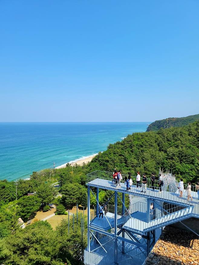 하슬라아트월드 전망대