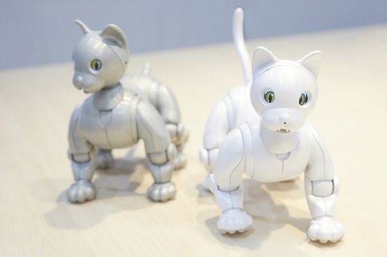 (주)매크로액트가 개발한 고양이 로봇 마이캣. 실제 고양이의 독립적이고 자기 성향이 뚜렷한 성격을 AI로 구현했다.