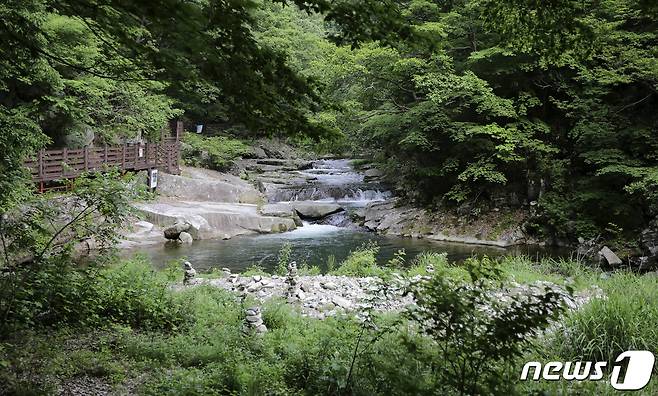 전북 장수군 덕산계곡이 숲길 휴식기간제에 들어가면서 등산객 등의 출입이 오는 9월16일까지 제한된다. 사진은 덕산계곡(장수군 제공)2021.6.8/뉴스1