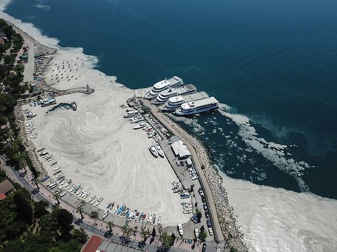 '바다의 콧물'이라고 불리는 해양점액이 6일 터키 이스탄불 마르마라해의 한 항구 주변을 하얗게 덮고 있다. 해양점액은 터키 최대도시 이스탄불에서 발생하기 시작해 마르마라 해안을 따라 다른 지역과 에게해 북부로까지 번지고 있다. 이 물질은 마르마라 해의 상당부분을 뒤덮고 있어 환경과 해양생물에 심각한 위협이 되고 있으며 터키 정부는 제거작업을 위한 부서를 발족했다. 신화=연합뉴스