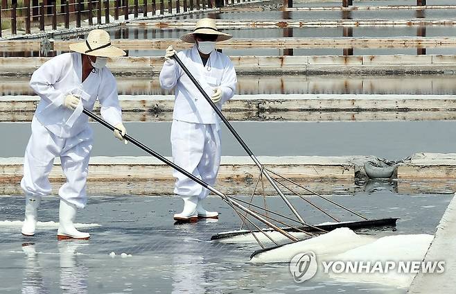소래 염전 올해 첫 천일염 수확 [연합뉴스 자료사진]