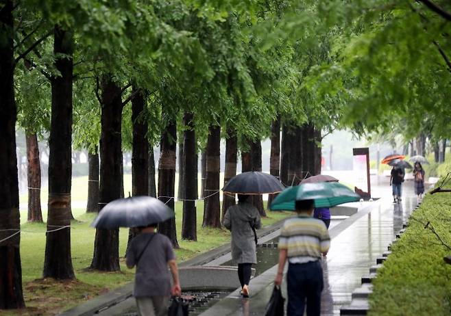 비가 내린 11일 오전 녹음이 우거진 부산 부산진구 송상현광장에서 우산을 쓴 시민들이 산책하고 있다. 연합뉴스 제공