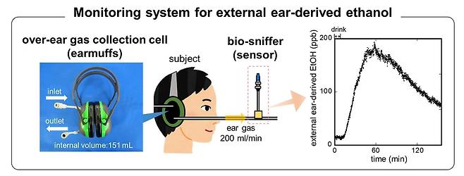 귀마개형 에탄올 증기 측정기 개념도 [Mitsubayashi lab, Tokyo Medical and Dental University 제공/ 재판매 및 DB 금지]