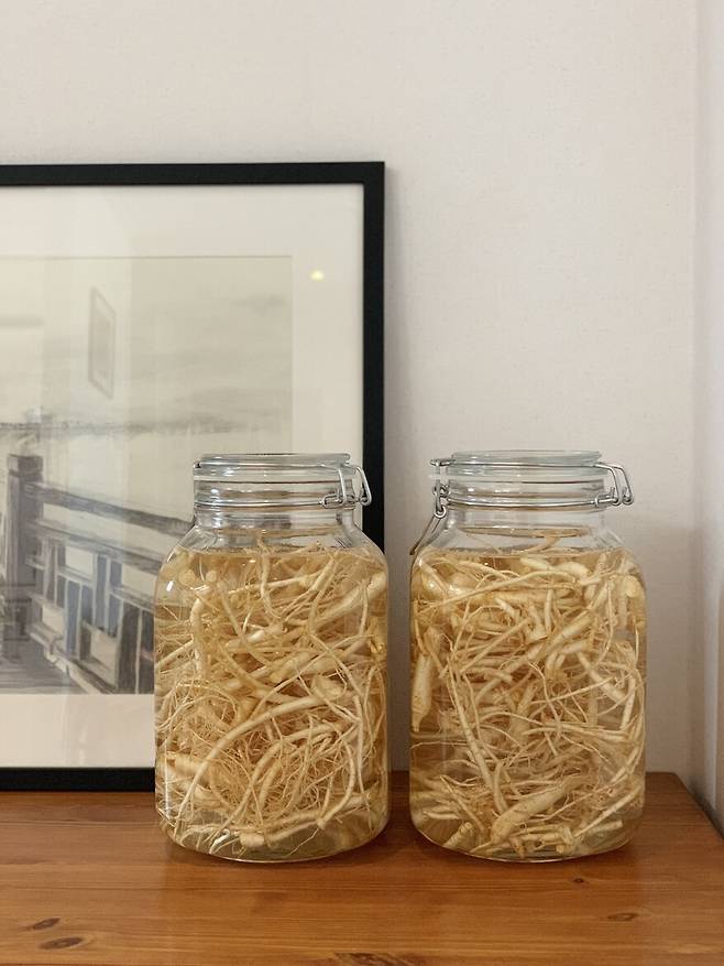 술값을 아끼자며 인삼주를 담그기 시작했다. 매년 초, 우리는 인삼주를 담근다. 김다현 제공