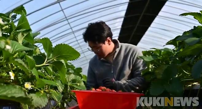 사진= 우진우 씨 제공