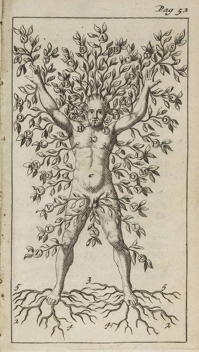인체에서 가지처럼 자라는 혈관을 묘사한 17세기 의학서의 그림. 혈관을 통한 혈액의 순환을 건강의 중요한 요소로 인식한 이후 이에 기초한 도시계획이 세워지기 시작했다.