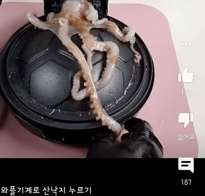 한 유튜버가 게시한 '낙지 와플' 영상. / 사진 = 유튜브