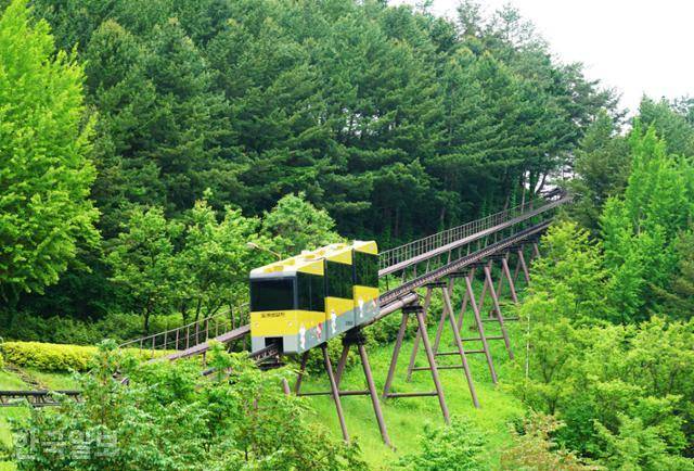 매표소에서 약 700m 떨어진 화암동굴 입구까지는 모노레일로 이동한다. 물론 걸어도 된다.