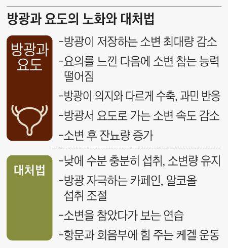 방광과 요도의 노화와 대처법