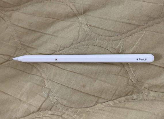 A씨가 디씨인사이드 아이패드 갤러리에 공개한 애플펜슬 사진