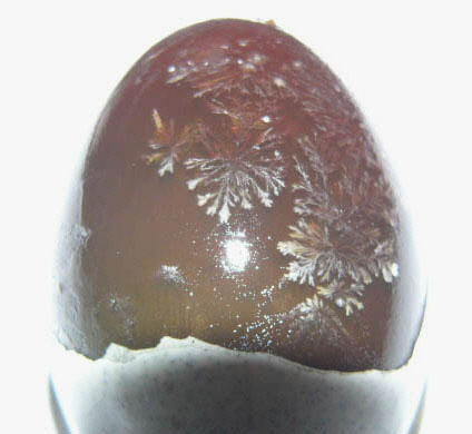 송화단의 겉모습에 맺힌 소금 결정. 솔잎을 닮은 데에서 이름이 붙여졌다.(사진=위키피디아)