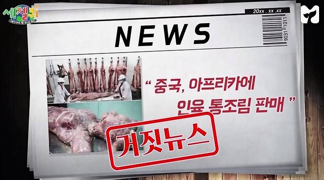 ▲ SBS 뉴미디어 브랜드 '모비딕' 콘텐츠 '세젤퀴' 갈무리. 잠비아 인육 통조림 가짜뉴스에 대한 설명을 하고 있다.