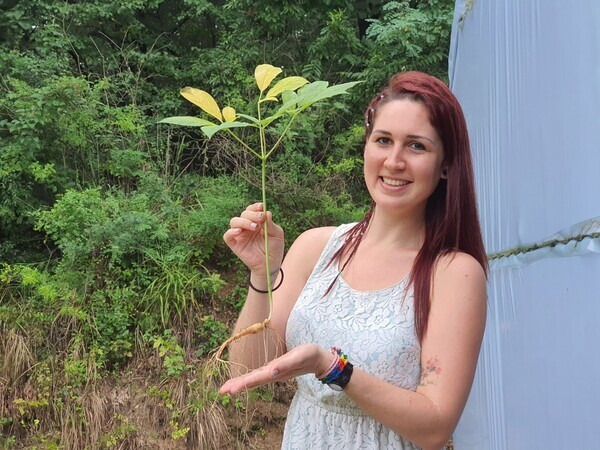 A foreign tourist participating in a ginseng tour program poses for a photo in August last year. (provided by Yoon Seol-hyeon)