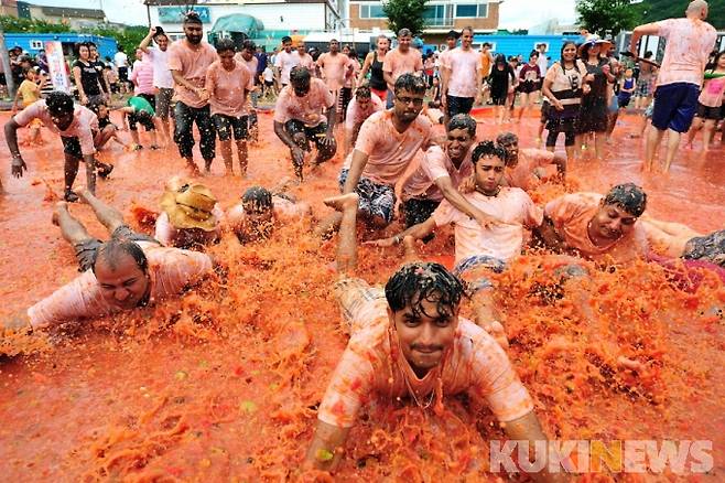 2019 화천군 토마토축제