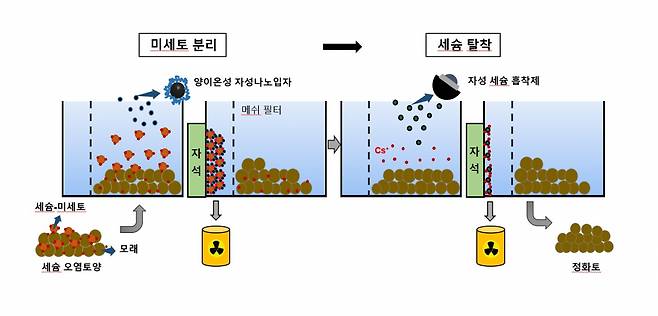 자성 분리기술을 이용해 방사성 오염토양으로부터 세슘을 선택적으로 제거하는 모식도.[한국원자력연구원 제공]