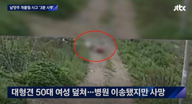 남양주 개물림 사고 당시 상황이 담긴 CCTV. (사진=JTBC 뉴스 방송화면 캡처)
