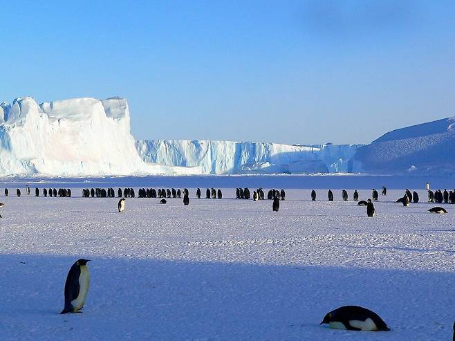 지구온난화 속에 남극 동쪽 지역의 기온은 하강하는 경향을 보여 관심을 받고 있다. 국내 연구진이 동남극 한랭화 현상 원인 일부를 찾아냈다. 픽사베이 제공