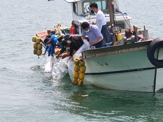 경남 사천시는 24일 동서동 산분령항 일원 해역에 주꾸미 종자 3만여 마리를 방류했다. *재판매 및 DB 금지
