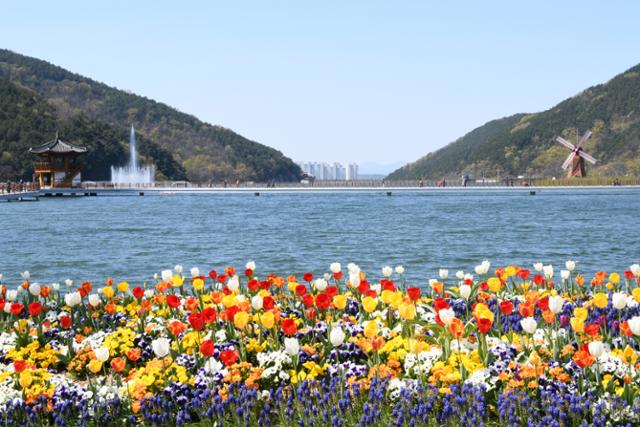 지난 봄, 송해공원 옥연지 부근에 튤립이 피어 있다. 달성군 제공