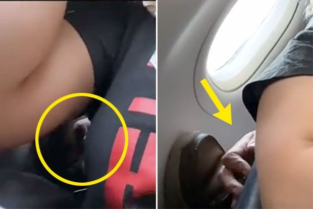 한 10대 여성이 뒷좌석 승객으로부터 성추행 당하는 모습을 직접 촬영해 승무원에 신고했다. ⓒ틱톡 영상 캡처