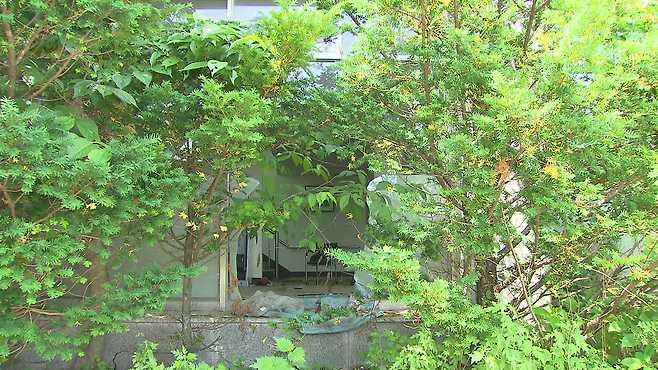 누군가 건물 유리 벽을 깨고 들어간 흔적이 그대로 남아있다.