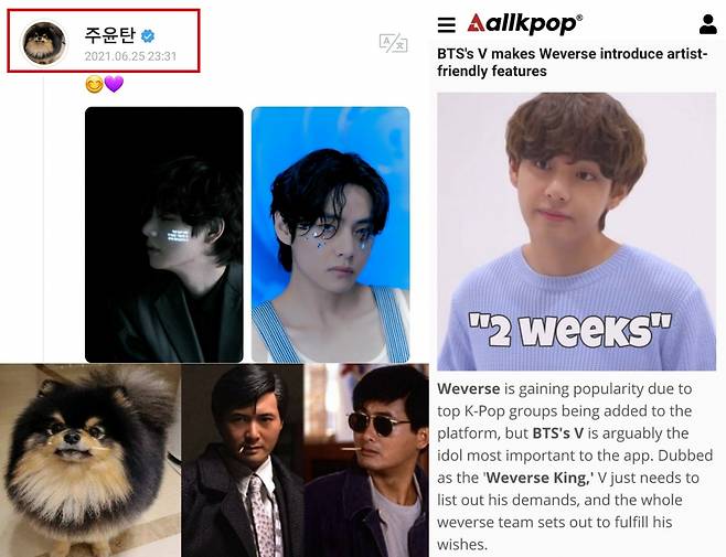 방탄소년단 뷔, 위버스 닉네임 '주윤탄' 변경..팬소통 왕 '위버스 킹'