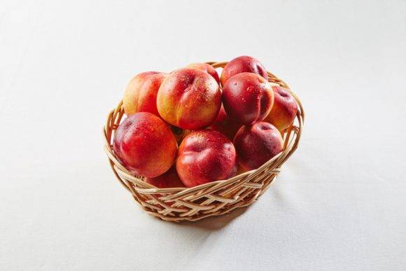 [사진=국립농업과학원]