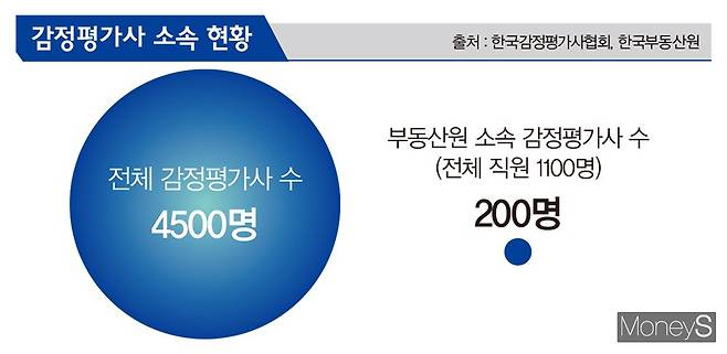 김영찬 디자인 기자