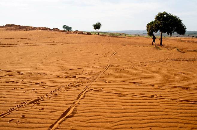 기후변화로 인한 극심한 가뭄으로 고통받고 있는 마다가스카르의 한 지역